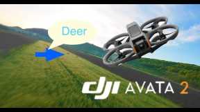 DJI AVATA 2 proximity flying | motion controller | cinematic sunrise